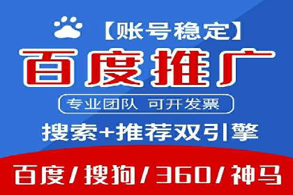 SEM广告投放的精准定位与优化案例